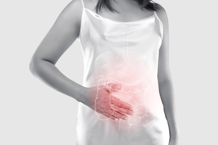 シートパンチキン 春野菜とジャガイモ添え